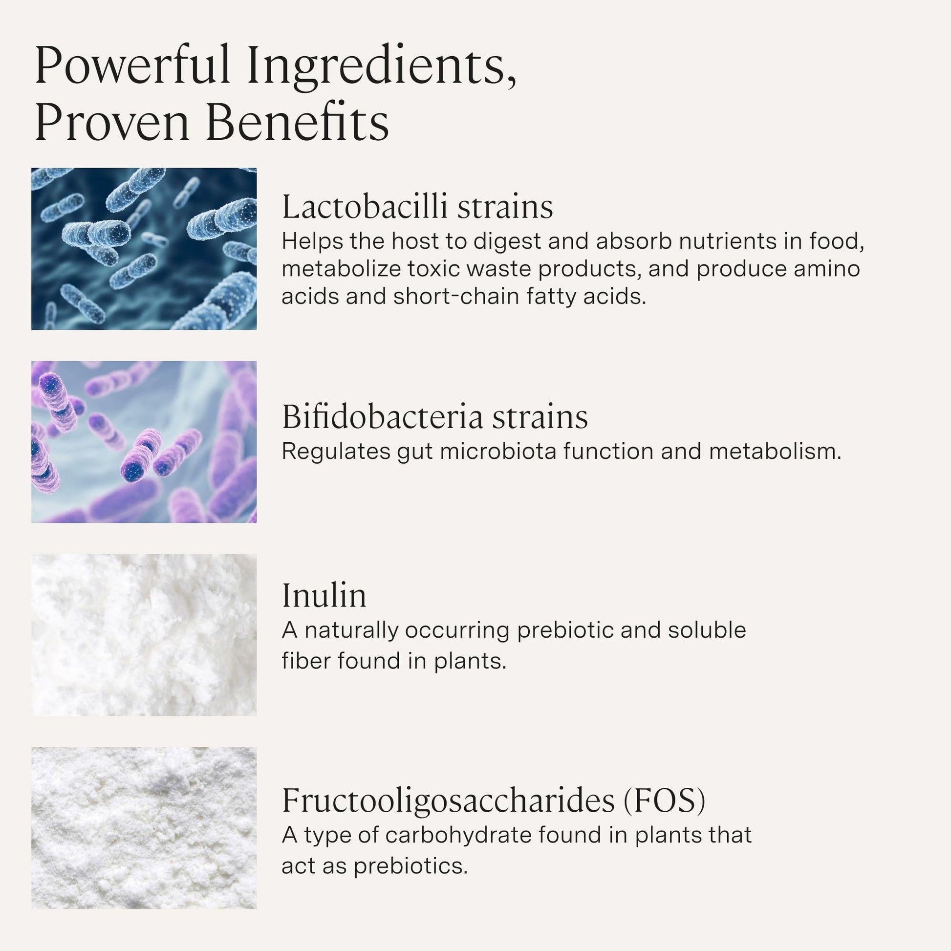 Stonehenge Health Probiotics 55 Billion CFU - 16 Strains, Prebiotic, Synbiotics Dynamic Biotics - Lactobacillus Acidophilus, Delayed Release - Maple Wellness Supplements