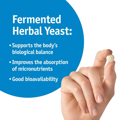 Strath Nutritional Yeast Tablets - Vegetarian, Lactose Free, Artificial Additive Free - Digestive Support, Nutrient Absorption - Unflavored Daily Supplement - Prebiotic and Postbiotic - Maple Wellness Supplements