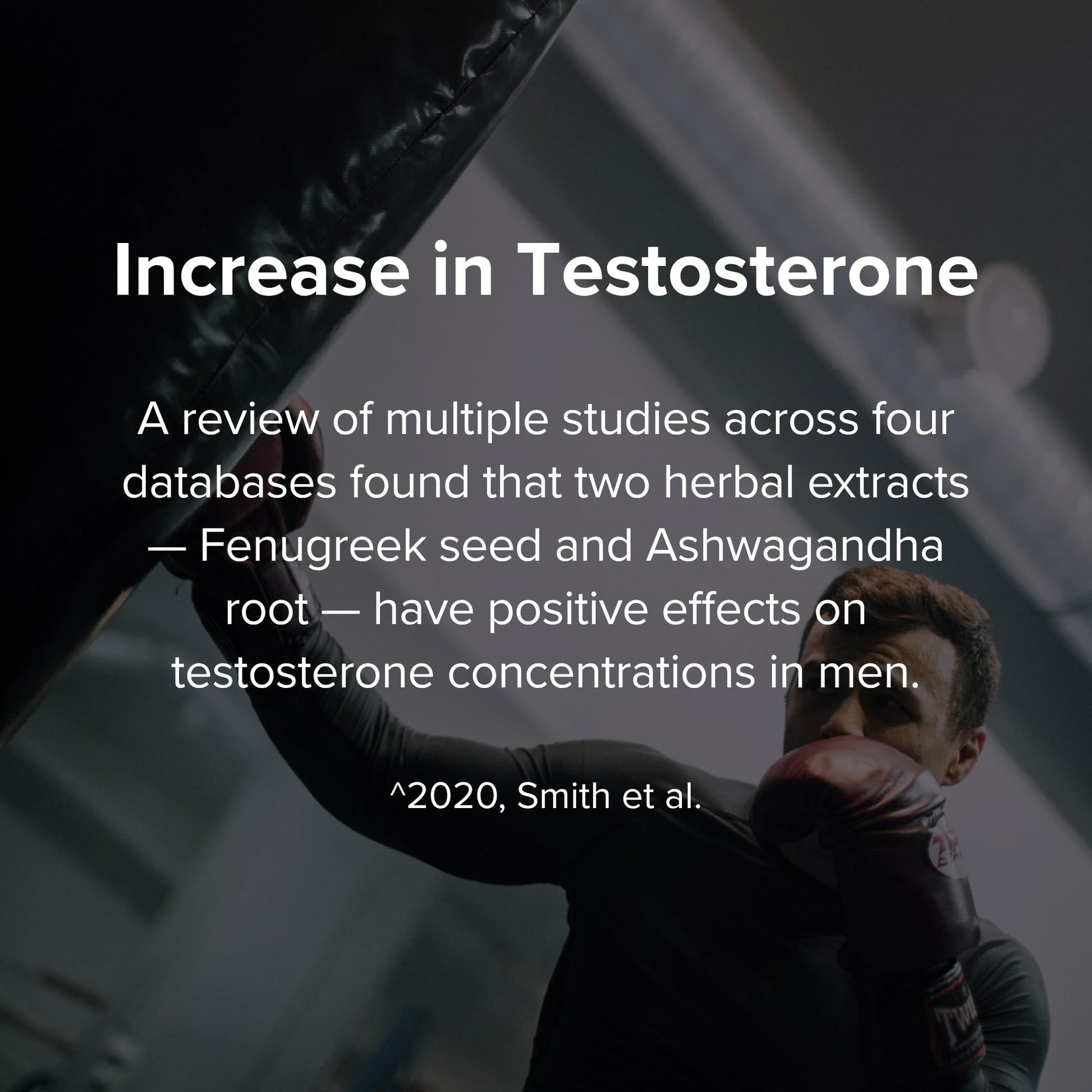STRIVLABS Peak Potential 12-in-1 Support for Men – Fenugreek, Ashwagandha & Tongkat Ali – Natural Strength - Maple Wellness Supplements