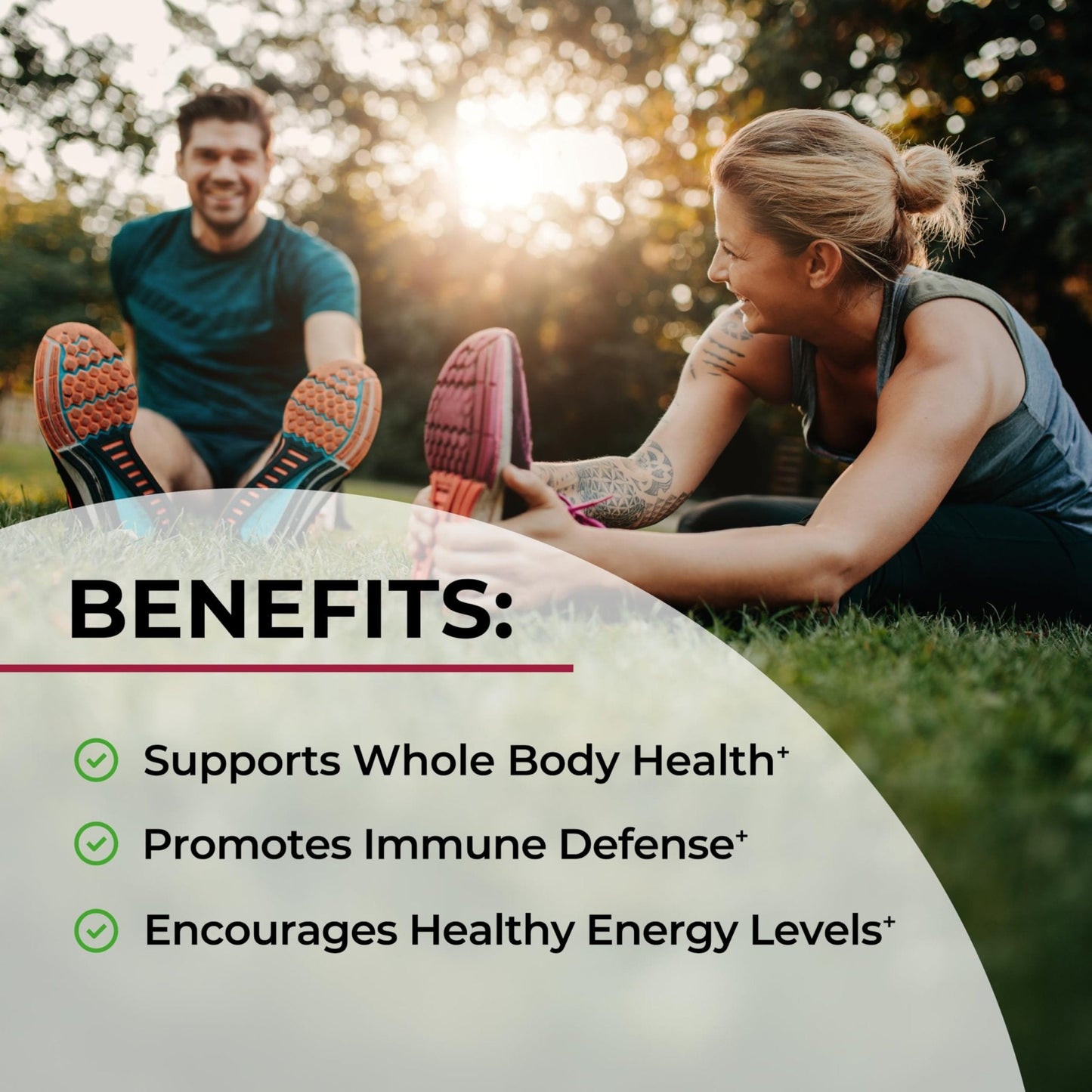 Sugar Free Beet Root Gummies - Nitric Oxide Gummies Infused with Coconut Oil for Highest Absorption - Supports Energy & Whole Body Health - Maple Wellness Supplements