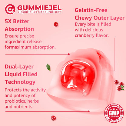 Sugar Free Menopause Supplement Gummies for Women, Menopause Probiotics (10 Billion CFU) Filled Gummy with Ashwagandha, Dong Quai & Black Cohosh for Hot Flashes, Night Sweats, Mood Swings, Gut Health - Maple Wellness Supplements