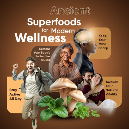 Suiyilary Mushroom Coffee, 10 Mushroom Extract Powder Blend Lion's Mane, Reishi, Chaga - Maple Wellness Supplements