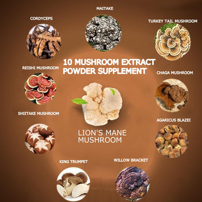 Suiyilary Mushroom Coffee, 10 Mushroom Extract Powder Blend Lion's Mane, Reishi, Chaga - Maple Wellness Supplements
