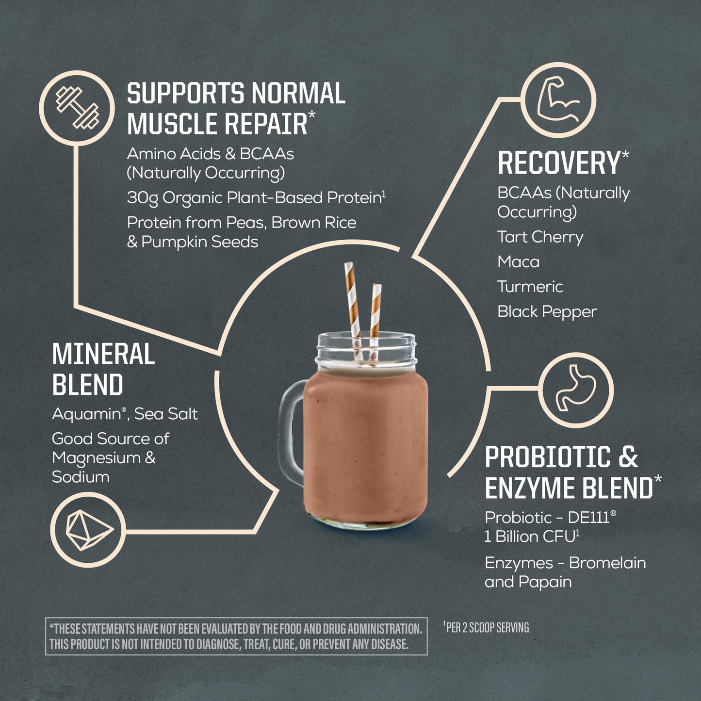 Sunwarrior Organic Plant Based Protein Powder | Vegan Organic Protein Powder with BCAA Amino Acids Plus Recovery Minerals & Botanicals | Non-GMO Soy Dairy & Gluten Free - Maple Wellness Supplements