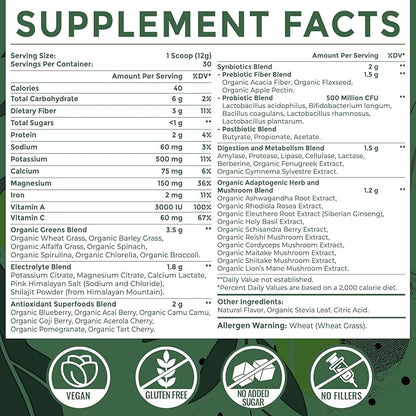 Super Greens Powder Superfood + Electrolytes & Tonic Herbs | Organic Greens, Shilajit, Adaptogens, Antioxidants, Preobiotic & Probiotic & Postbiotic| for Energy, Gut & Immune| Unflavored - 30 Servings - Maple Wellness Supplements