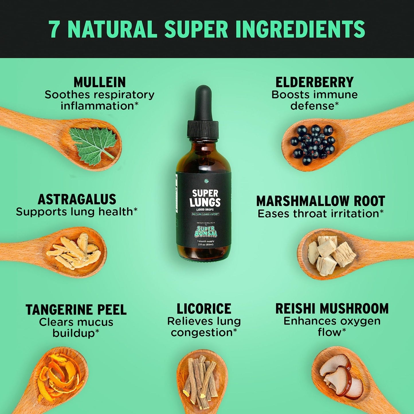 SuperBonsai Super Lungs Mullein Drops – Herbal Lung Support Tincture with Mullein Leaf Extract Elderberry Reishi Marshmallow Root - Maple Wellness Supplements