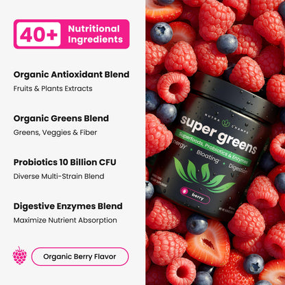 SuperGreens Powder, 40+ Organic Superfoods, Probiotics & Enzymes for Energy, Digestion, Gut Health & Bloating | Organic Fruit & Veggie Drink Mix, Daily Green Juice - Maple Wellness Supplements