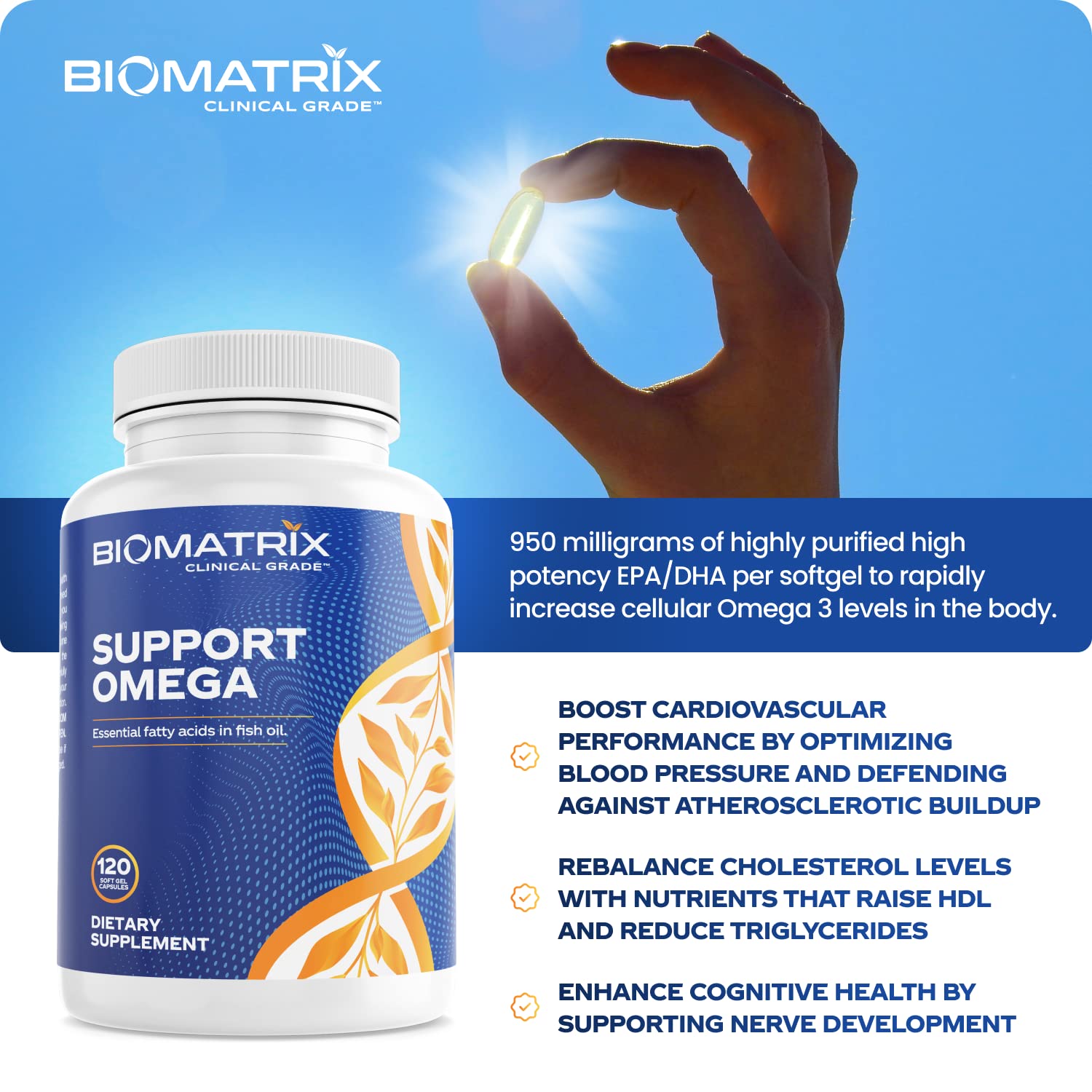 Support Omega EPA DHA Omega 3 Fish Oil Supplement - Cardiovascular, Musculoskeletal Support (120 Gel Capsules) - Maple Wellness Supplements