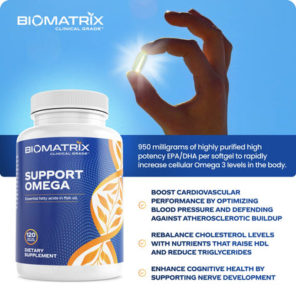 Support Omega EPA DHA Omega 3 Fish Oil Supplement - Cardiovascular, Musculoskeletal Support (120 Gel Capsules) - Maple Wellness Supplements