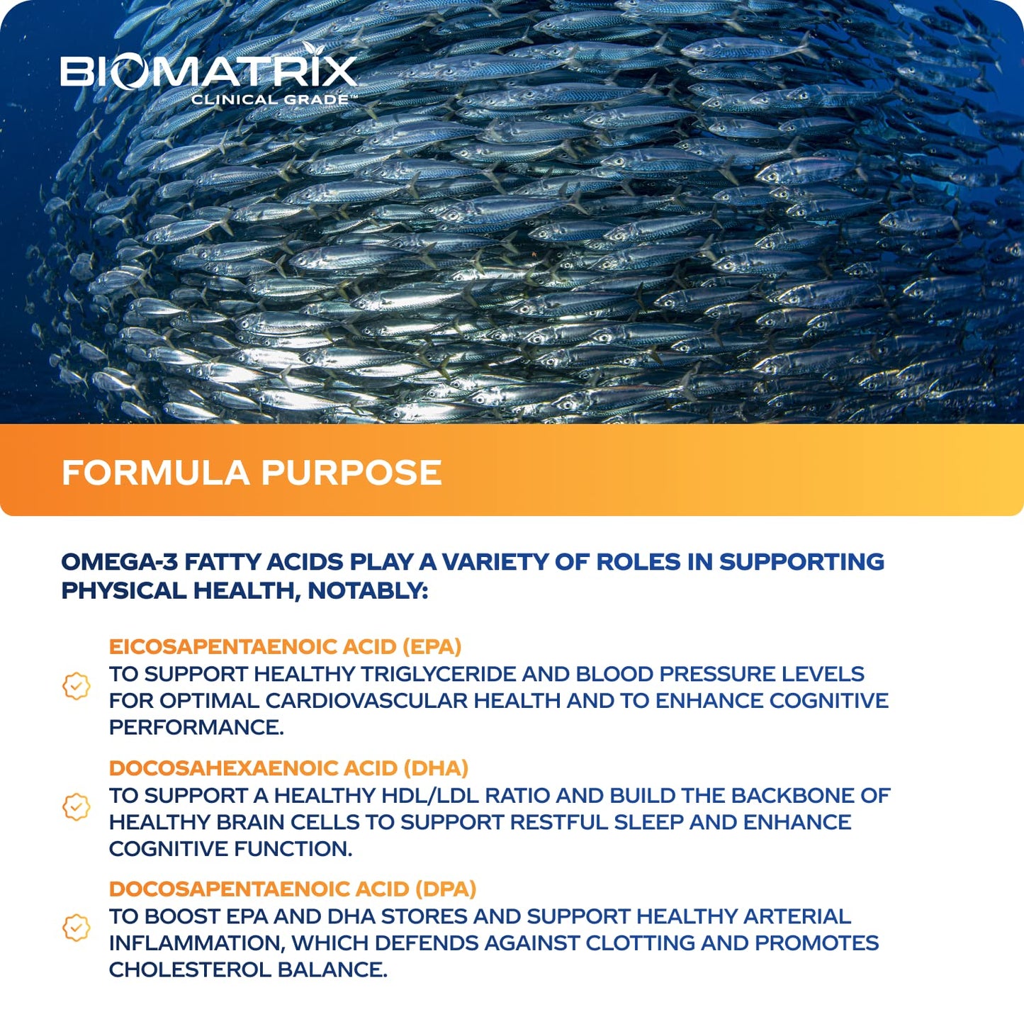 Support Omega EPA DHA Omega 3 Fish Oil Supplement - Cardiovascular, Musculoskeletal Support (120 Gel Capsules) - Maple Wellness Supplements