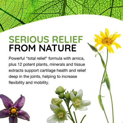 T-Relief Arthritis Arnica +12 Pain Relieving Natural Medicines Help Reduce Soreness Stiffness Aches & Pains in Joints Naturally - 100 Tablets (2 Pack) - Maple Wellness Supplements
