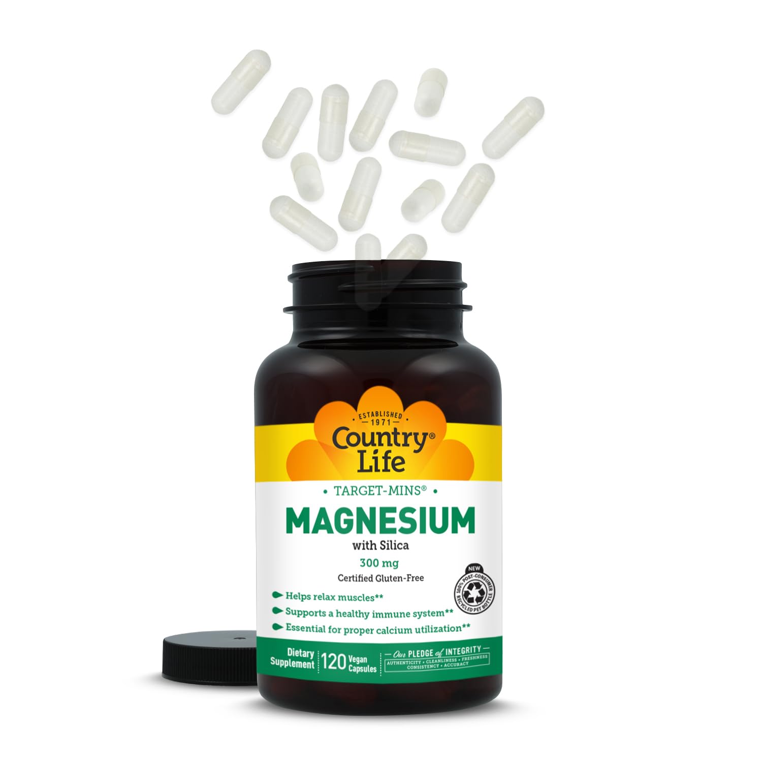 Target-Mins Magnesium with Silica 300 mg 120 Vegetarian Capsules - Maple Wellness Supplements