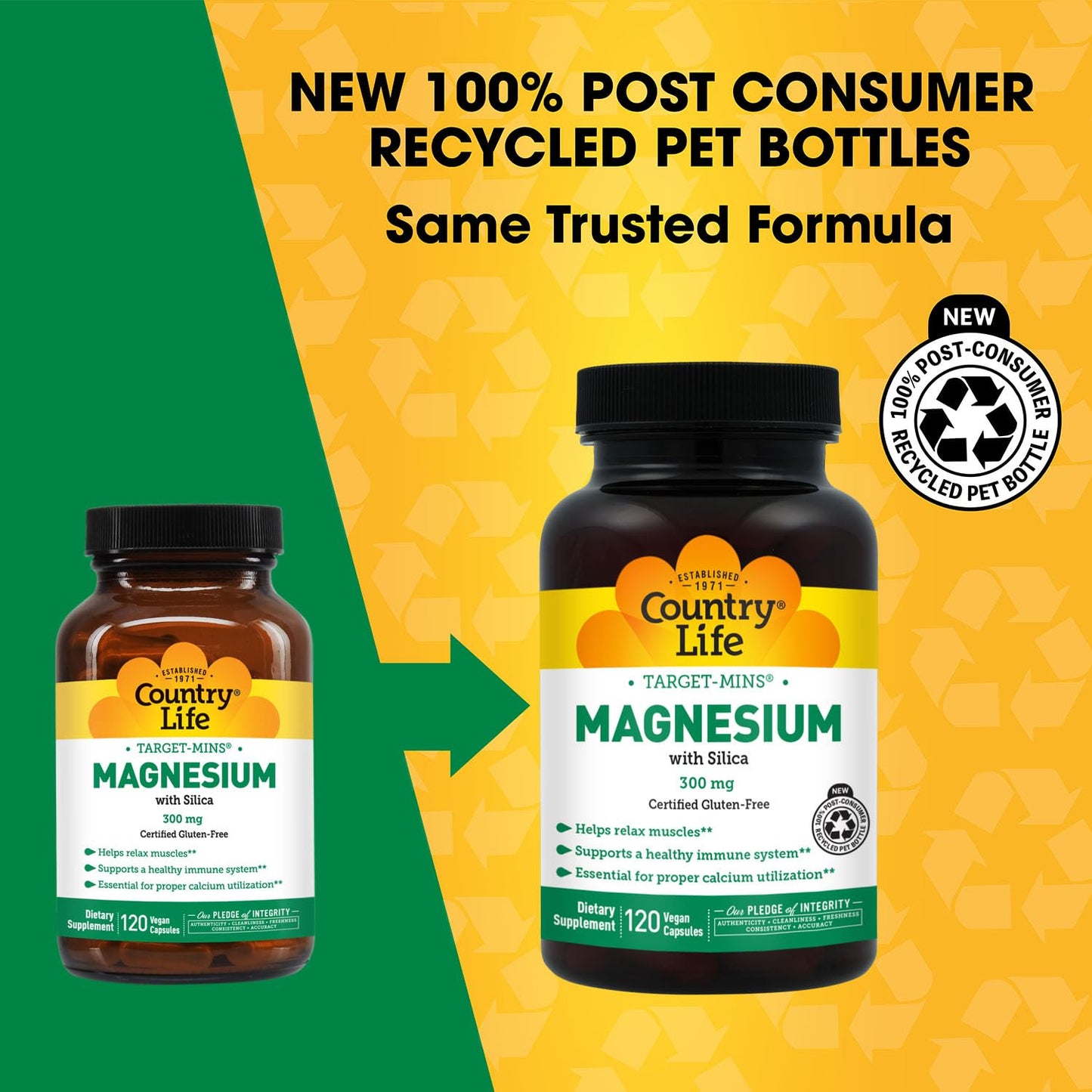 Target-Mins Magnesium with Silica 300 mg 120 Vegetarian Capsules - Maple Wellness Supplements