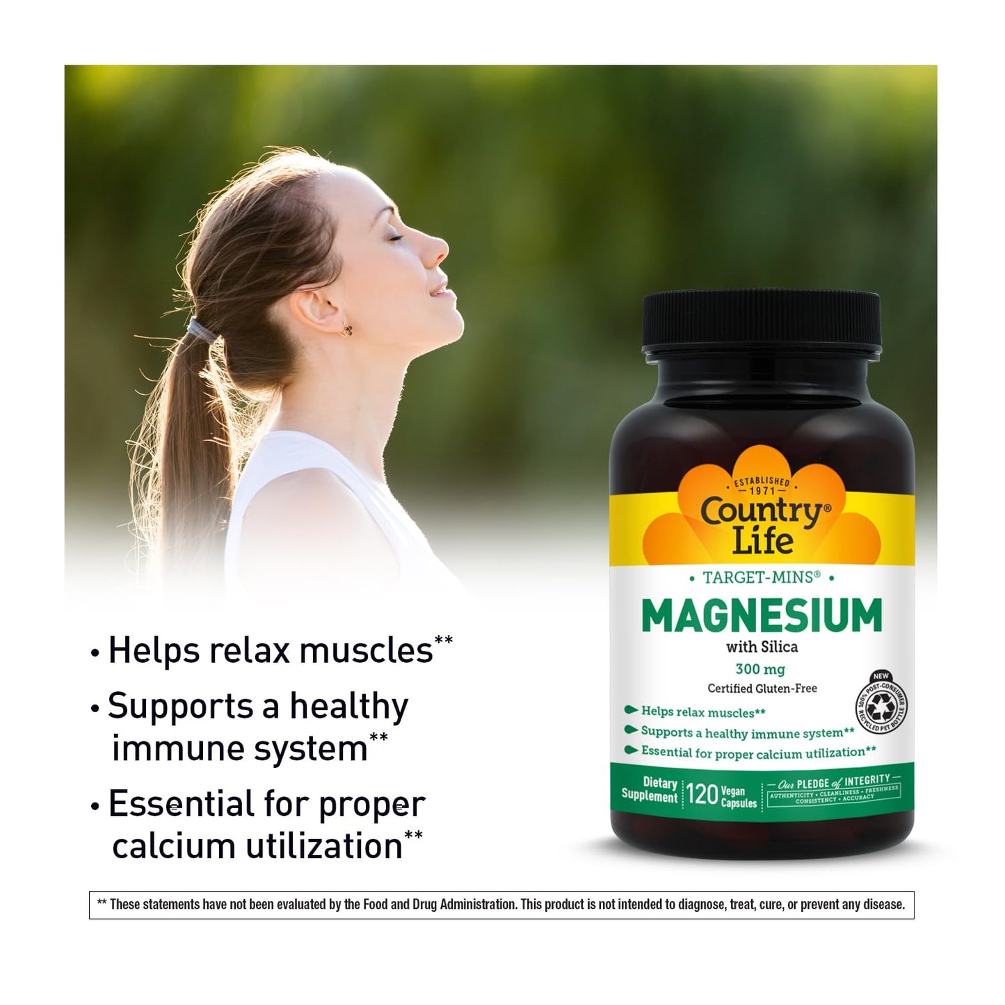 Target-Mins Magnesium with Silica 300 mg 120 Vegetarian Capsules - Maple Wellness Supplements