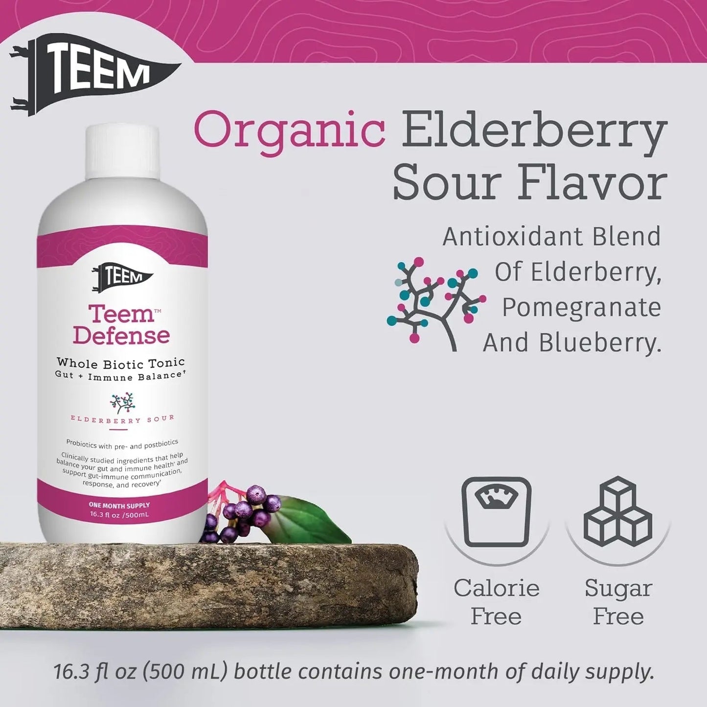 Teem Defense Liquid Probiotic with Elderberry, Whole Biotic Tonic for Digestion & Immunity, Prebiotic Probiotic & Postbiotic Supplement for Kids and Adults, 30 Day Supply – 16.3 Fl.Oz - Maple Wellness Supplements