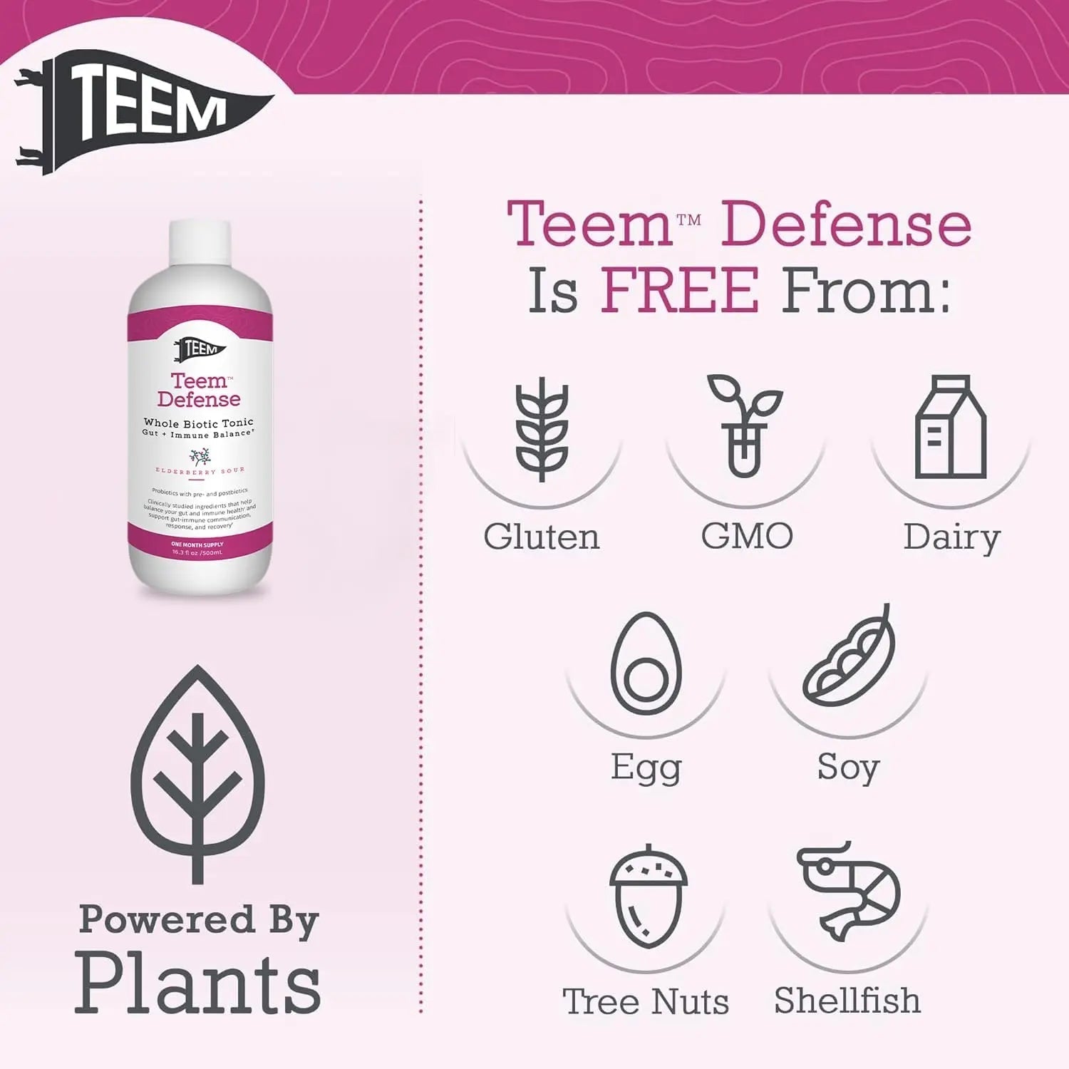 Teem Defense Liquid Probiotic with Elderberry, Whole Biotic Tonic for Digestion & Immunity, Prebiotic Probiotic & Postbiotic Supplement for Kids and Adults, 30 Day Supply – 16.3 Fl.Oz - Maple Wellness Supplements