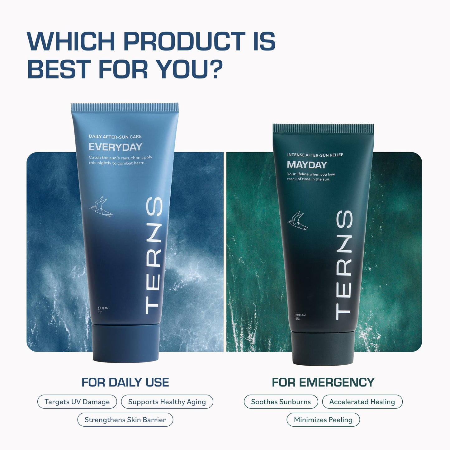 TERNS Everyday Advanced Moisturizer for Face & Body, Daily Skin Care Lotion for Men & Women, Marine Bioactive Skin Cream, Supports Firmness & Hydration, Travel Friendly, Natural Fragrance, 3.4 Oz - Maple Wellness Supplements