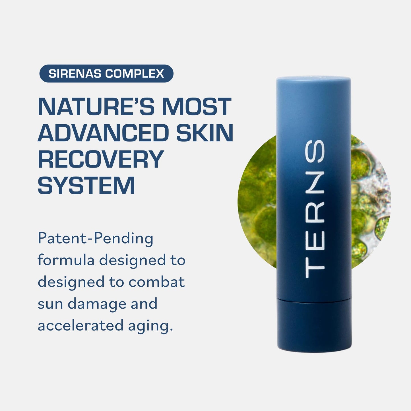 TERNS Everyday Lip Balm | Hyaluronic Acid + Baobab & Meadowfoam Oils, Algae-Powered Sirenas Complex OS, Refreshing Mint, Non-Sticky Cushion Glide, Cruelty-Free - Maple Wellness Supplements