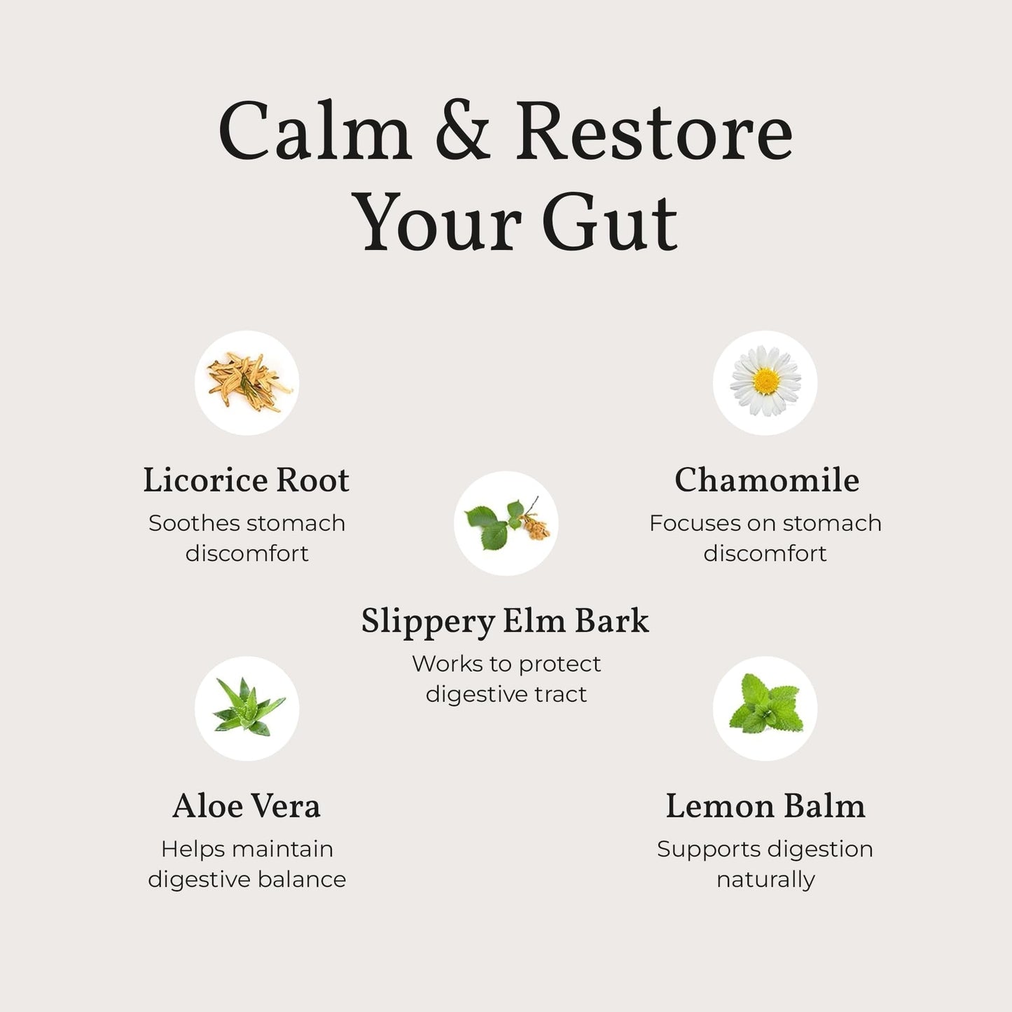 Terra Health Essentials Acid Relief - Plant Based Digestive Support Supplement for Comfortable Gut Function - Lemon Balm, Slippery Elm, - Maple Wellness Supplements