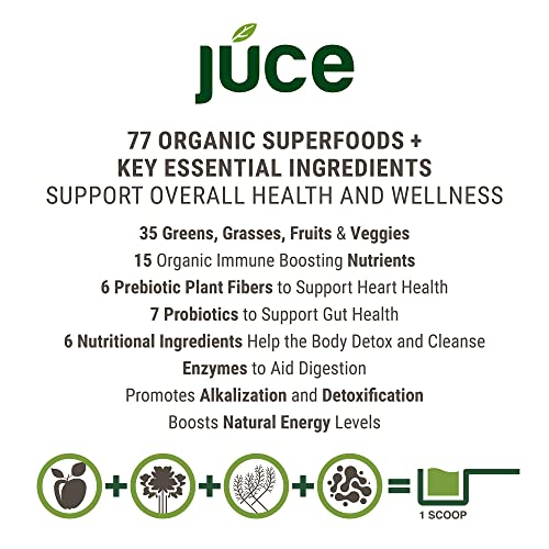 Terra Kai Organics JUCE Green Superfood Powder, Organic Fruits and Veggies Supplement - Maple Wellness Supplements