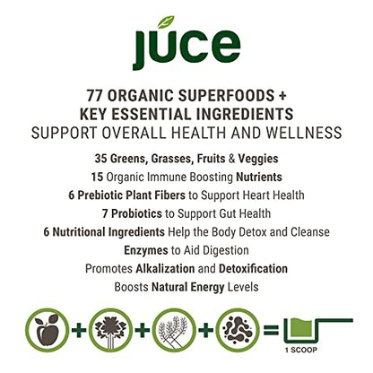 Terra Kai Organics JUCE Green Superfood Powder, Organic Fruits and Veggies Supplement - Maple Wellness Supplements