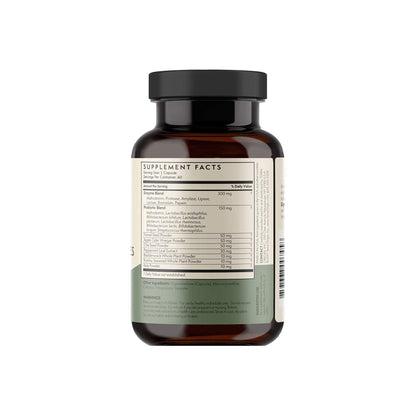 TERRA ORIGIN Digestive Enzymes with Probiotics & Prebiotics | 60 Capsules | Supports Digestive Gut Health | Non GMO, Gluten Free, - Maple Wellness Supplements