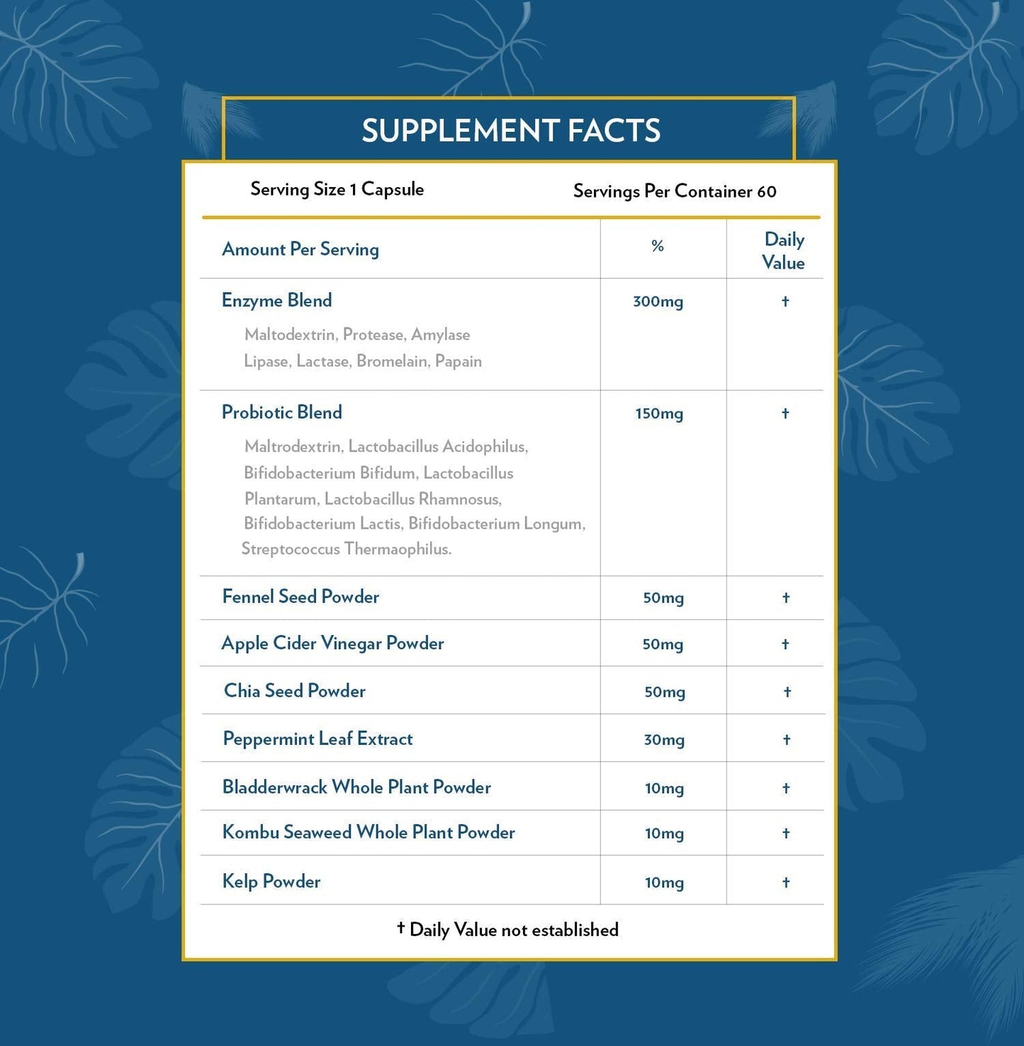 TERRA ORIGIN Digestive Enzymes with Probiotics & Prebiotics | 60 Capsules | Supports Digestive Gut Health | Non GMO, Gluten Free, - Maple Wellness Supplements