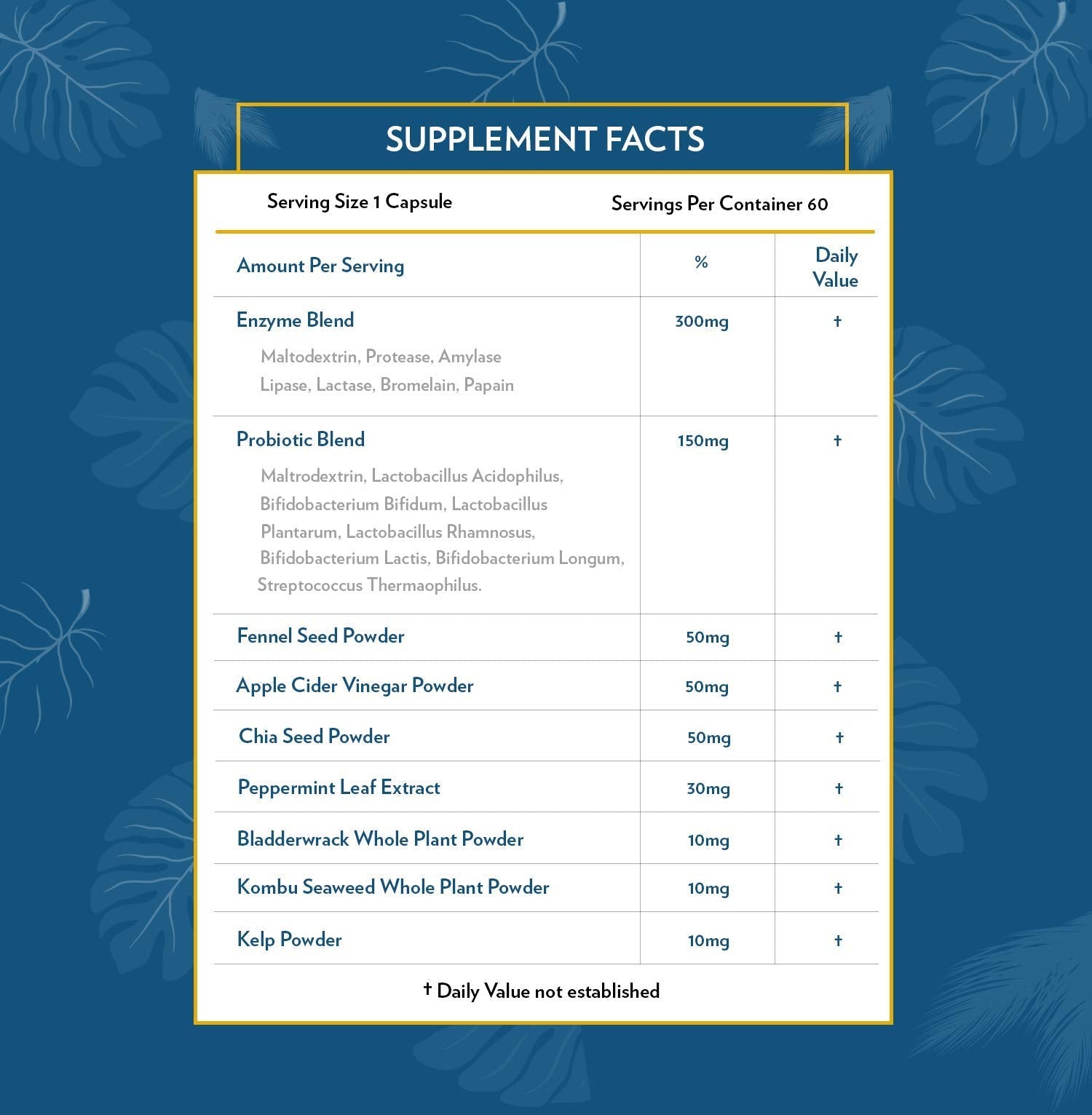 TERRA ORIGIN Digestive Enzymes with Probiotics & Prebiotics | 60 Capsules | Supports Digestive Gut Health | Non GMO, Gluten Free, - Maple Wellness Supplements