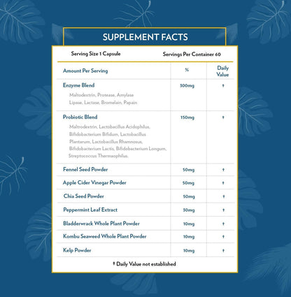 TERRA ORIGIN Digestive Enzymes with Probiotics & Prebiotics | 60 Capsules | Supports Digestive Gut Health | Non GMO, Gluten Free, - Maple Wellness Supplements