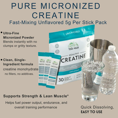 TERRA ORIGIN Healthy Creatine Micronized Monohydrate Powder | 30 Stick Packs | Support for Muscle and Cognitive Performance* | Supplement for Women and Men - Maple Wellness Supplements