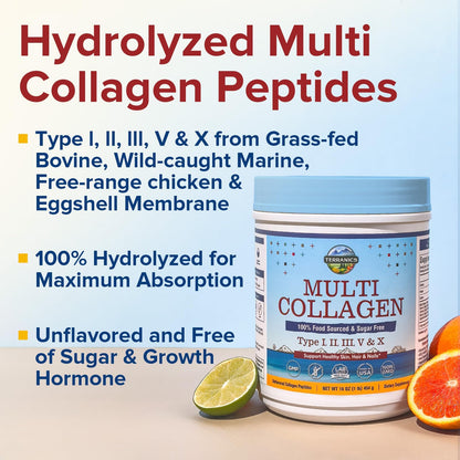Terranics Multi Collagen Peptides Powder, Type I II III V X Hydrolyzed Collagen for Women+Men, Collagen Supplements, Fast Dissolve - Maple Wellness Supplements