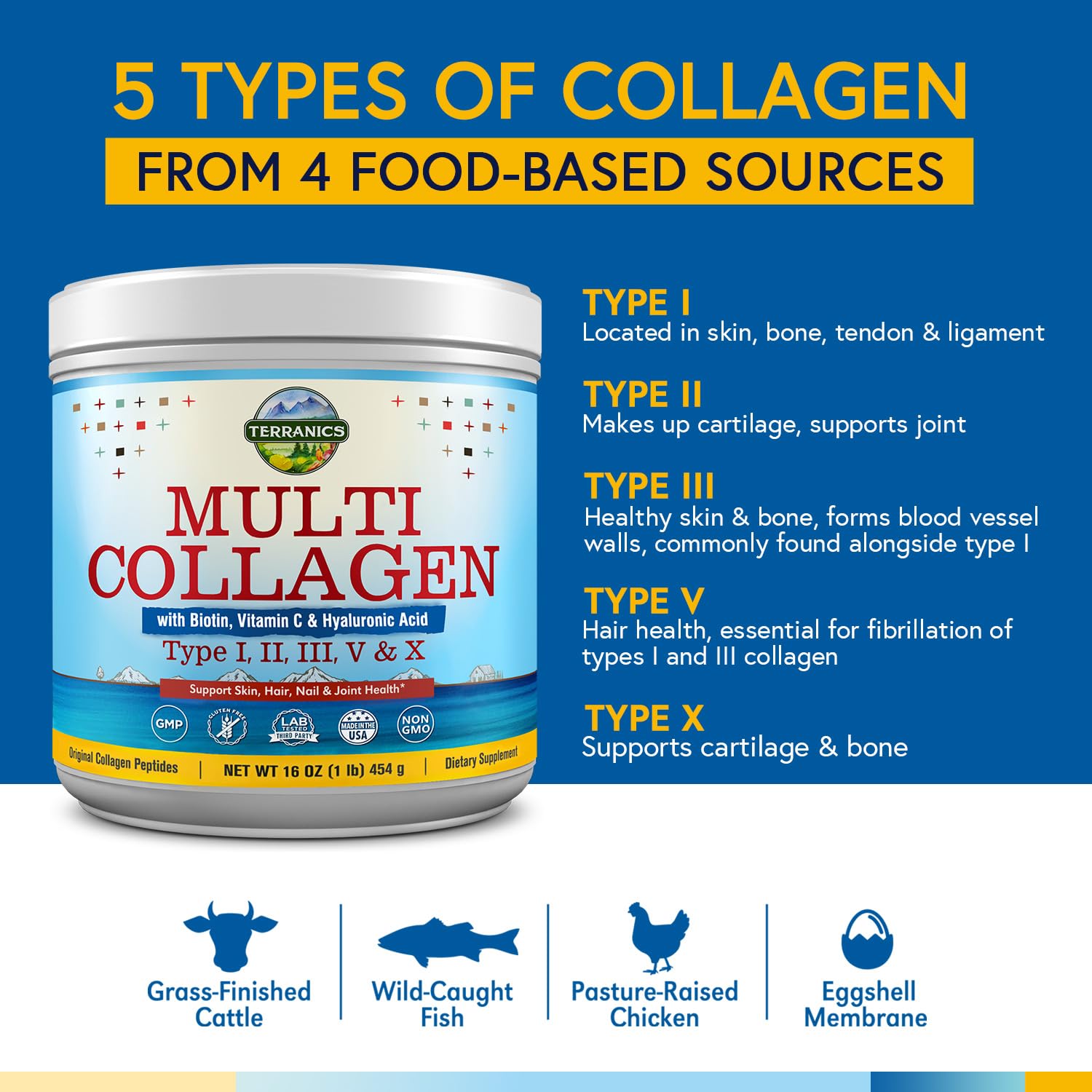 Terranics Multi Collagen Powder Type I II II V X with Biotin VC Hyaluronic Acid, Paleo - Maple Wellness Supplements