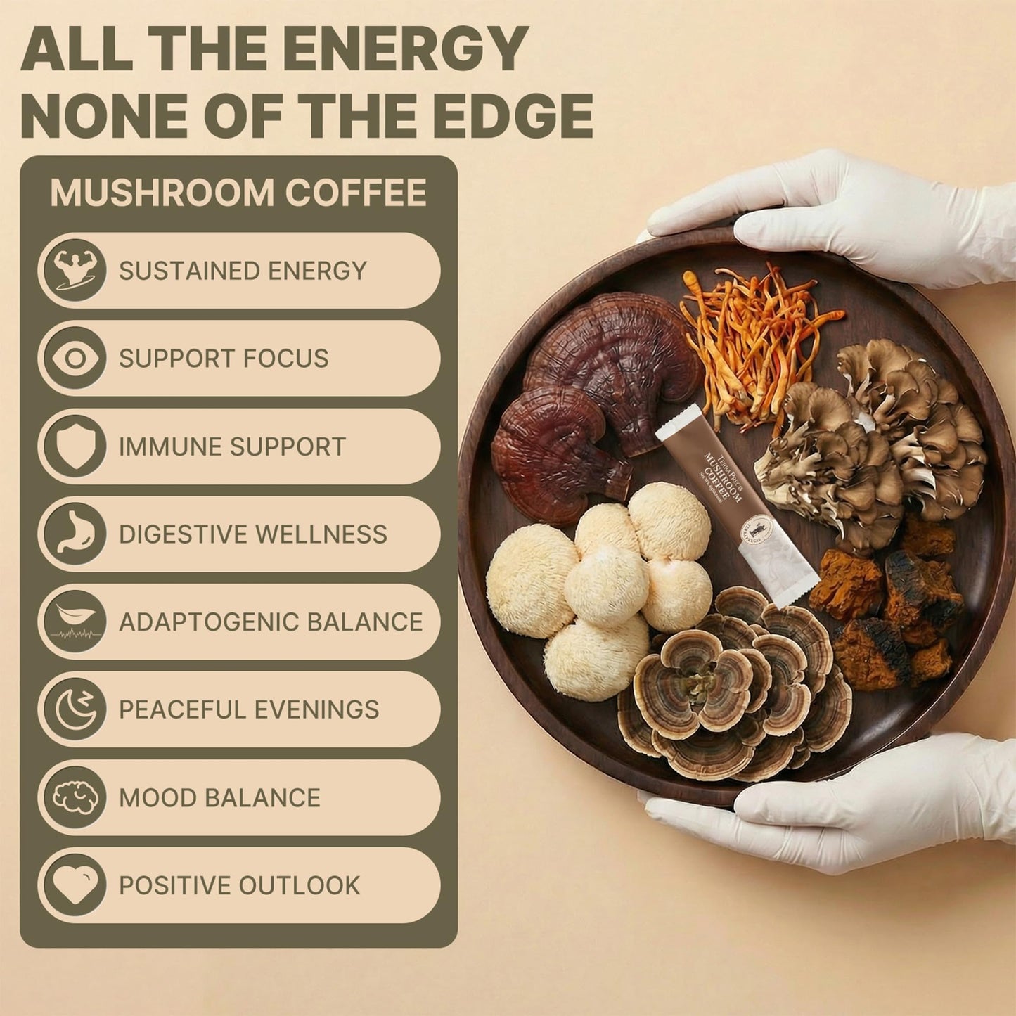 TerraPrecis Mushroom Coffee with 6 Adaptogens Mushrooms Supplement for Organic Lion's Mane&Reishi,Chaga&Other, Instant Coffee with MCT Oil& Arabica for Energy,Focus&Immune Support (30 Servings) - Maple Wellness Supplements