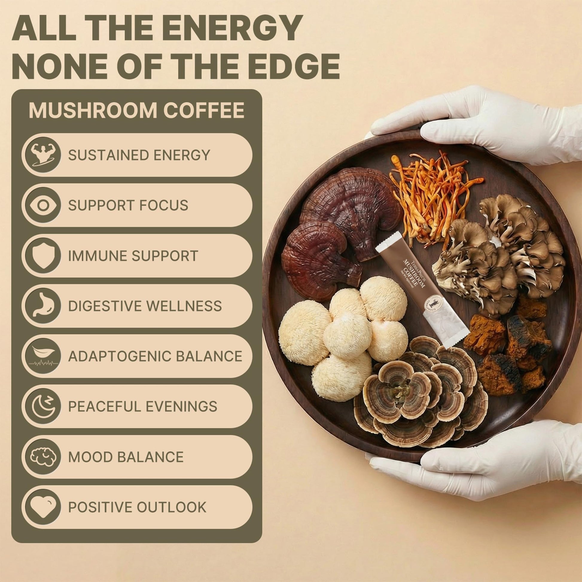 TerraPrecis Mushroom Coffee with 6 Adaptogens Mushrooms Supplement for Organic Lion's Mane&Reishi,Chaga&Other, Instant Coffee with MCT Oil& Arabica for Energy,Focus&Immune Support (30 Servings) - Maple Wellness Supplements
