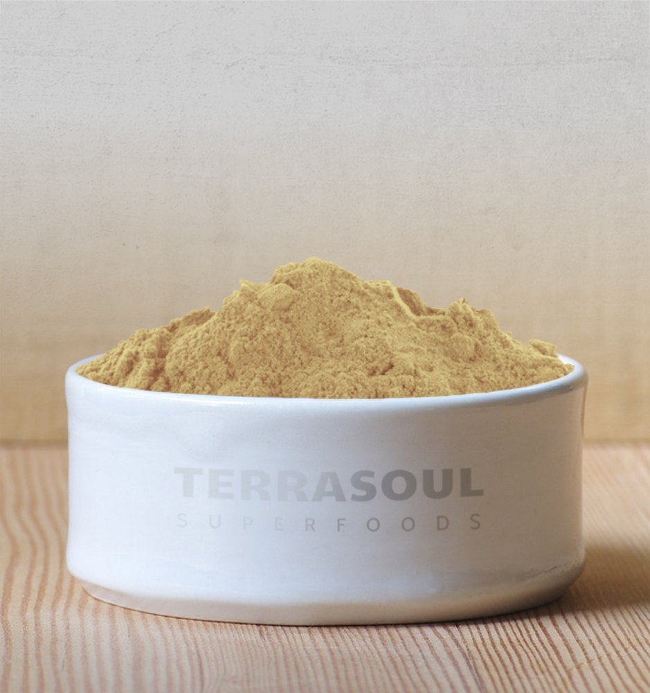 Terrasoul Superfoods Organic Amla Berry Powder (Amalaki), 16 Oz - Rich in Antioxidant Vitamin C | Supports Immunity - Maple Wellness Supplements