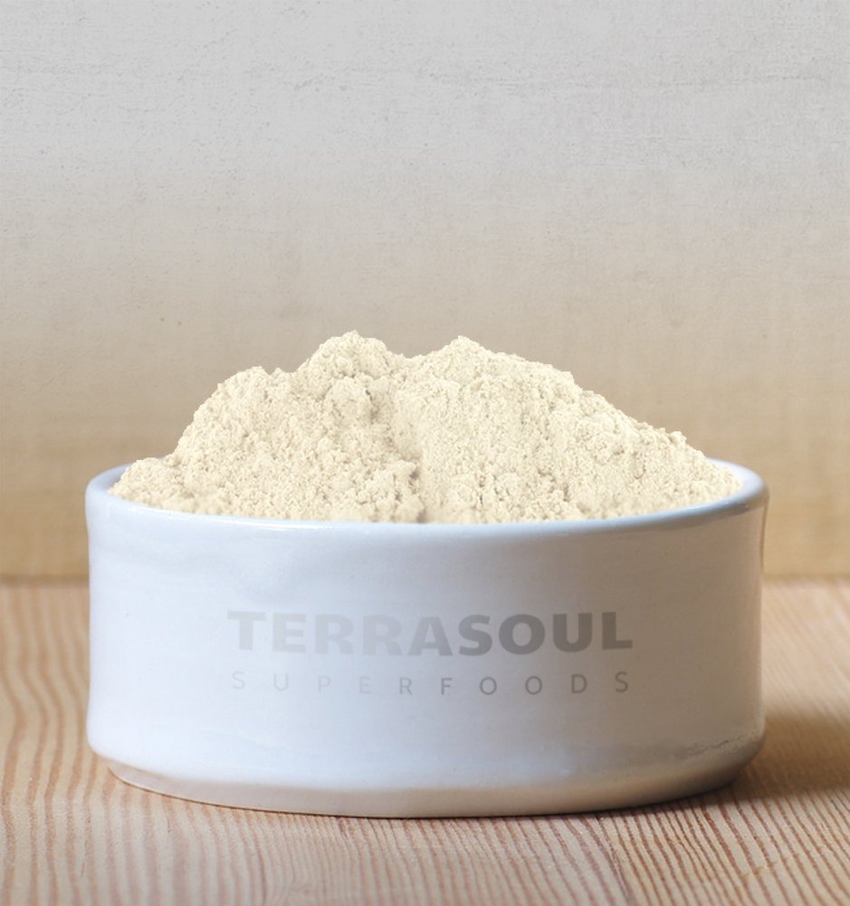 Terrasoul Superfoods Organic Psyllium Husk Powder, 1 Lb - Superfine Texture | 99% Purity | Perfect for Gluten-Free Baking | No Purple Breads - Maple Wellness Supplements