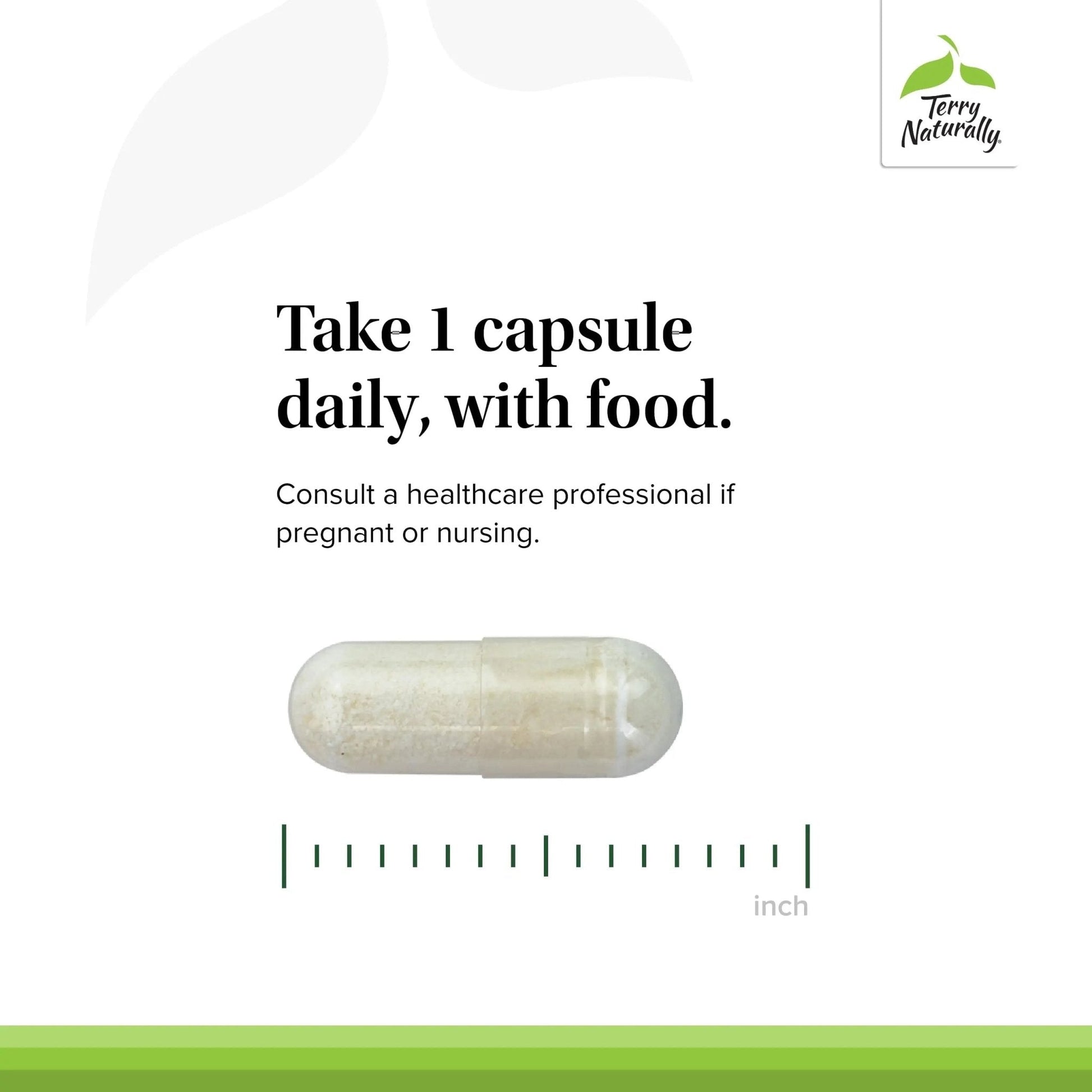 Terry Naturally FloraSure Probiotic - Digestion Supplement to Aid Against Occasional Bloating & Support Gas Relief - Gut Health Support Supplement with Bifidobacterium Bifidum - 30 Capsules - Maple Wellness Supplements