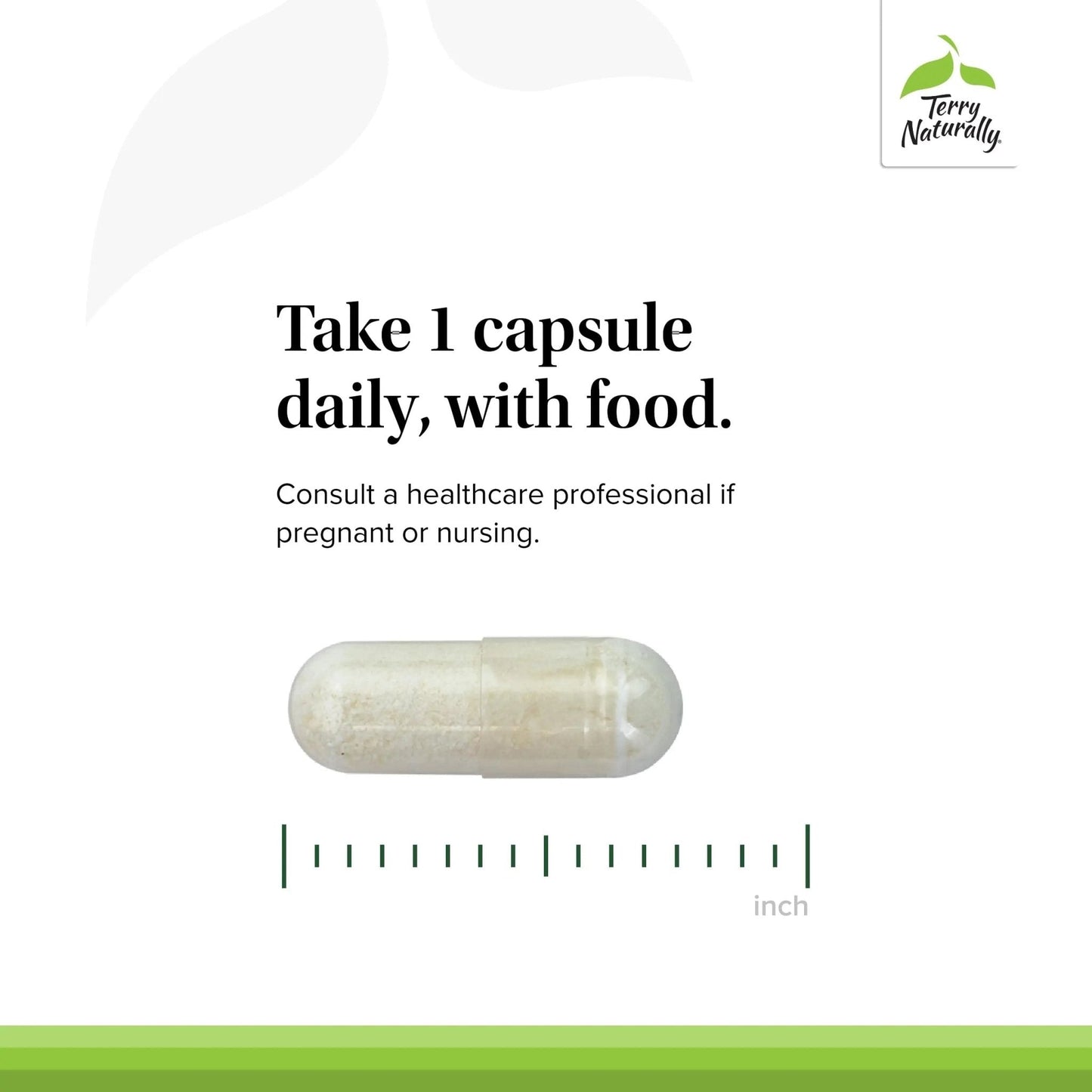 Terry Naturally FloraSure Probiotic - Digestion Supplement to Aid Against Occasional Bloating & Support Gas Relief - Gut Health Support with Bifidobacterium Bifidum - 30 Capsules (Pack of 2) - Maple Wellness Supplements