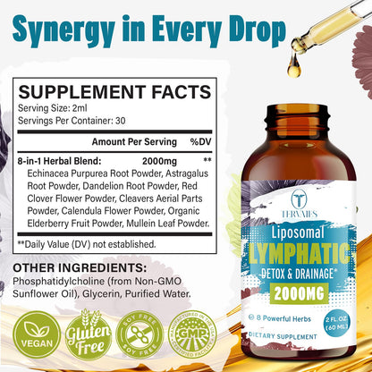 Tervaies Liposomal Lymphatic Drainage Drops 2000mg – Herbal Blend with Elderberry & Echinacea – 2 FL OZ - Maple Wellness Supplements