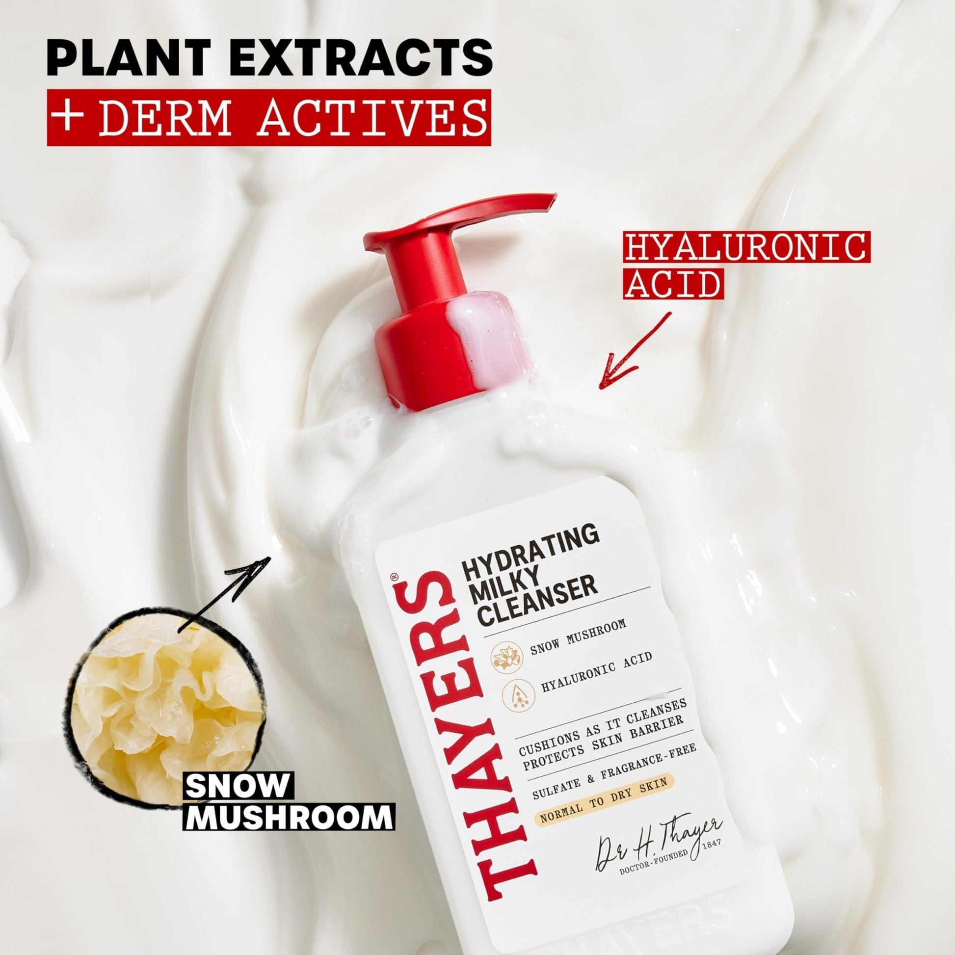 Thayers Milky Hydrating Face Cleanser with Snow Mushroom and Hyaluronic Acid, Dermatologist Recommended Gentle Facial Wash and Hydrating Skincare - Maple Wellness Supplements