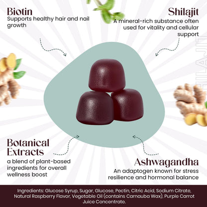 The EverÉ Natural Alchemy Evere RootRise Gummies - Shilajit + Ashwagandha Gummies - Maple Wellness Supplements