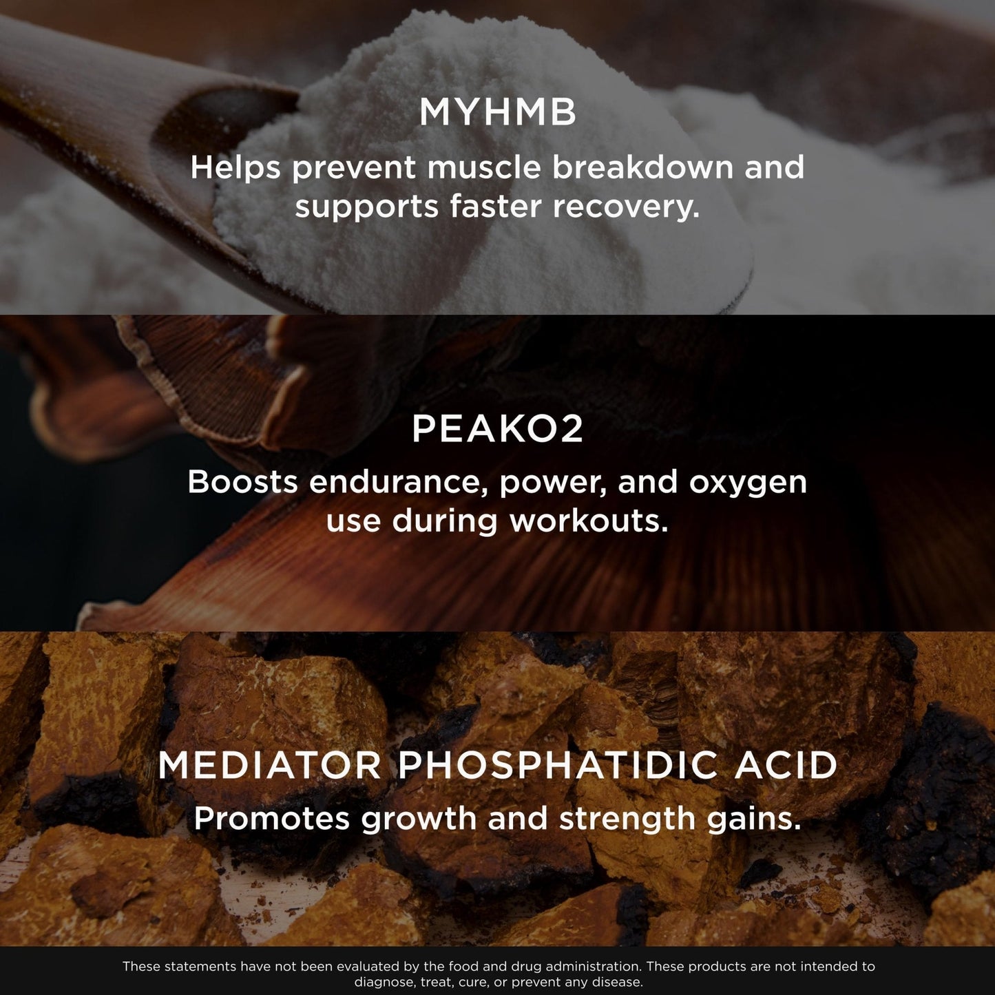 The Genius Brand Genius Muscle - Muscle Health Supplement for Growth, Endurance & Recovery - Non-Hormonal Formula - 6 Organic Mushrooms - Naturally-Sweetened - 30 Servings - Strawberry Vanilla - Maple Wellness Supplements