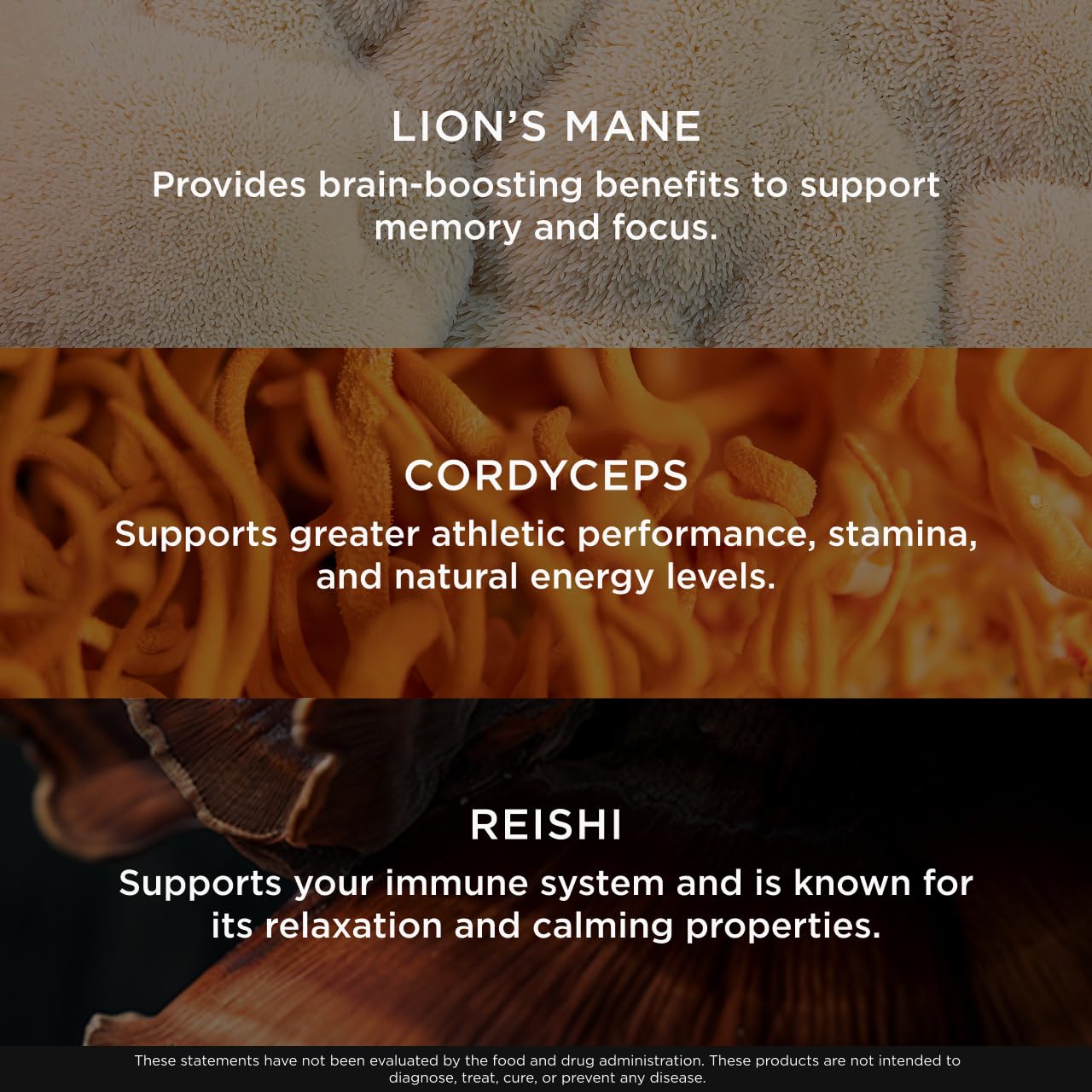 The Genius Brand Genius Mushroom - Plant-Based Supplement for Immune, Focus & Energy Support - Lion's Mane, Cordyceps & Reishi - Organic & Non-GMO - Butter Toffee - 60 Soft Chews - Maple Wellness Supplements