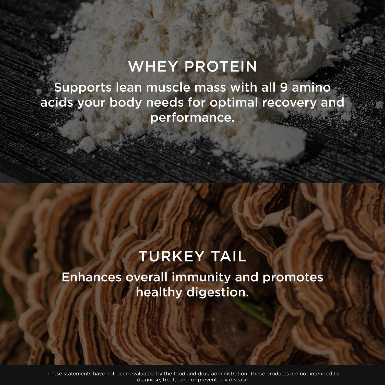 The Genius Brand Protein Powder - Chocolate + Adaptogenic Mushroom Blend - Plant-Based Protein with Reishi, Cordyceps & Lion’s Mane - Daily Muscle Recovery & Immune Support - 20 Servings - Maple Wellness Supplements