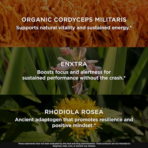 The Genius Brand Rise + Shine Nootropic – Cordyceps & Rhodiola Rosea – Caffeine-Free Energy & Mood Support – Focus, Clarity & Emotional Balance – 30 Servings - Maple Wellness Supplements
