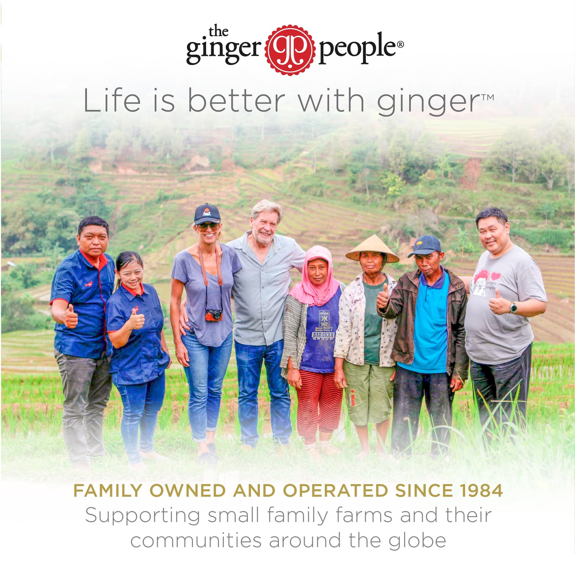 The Ginger People Ginger Rescue Digestive Wellness Lozenges (Soft) | Extra Strength - 800mg | Nausea, Upset Stomach, Motion Sickness - Maple Wellness Supplements
