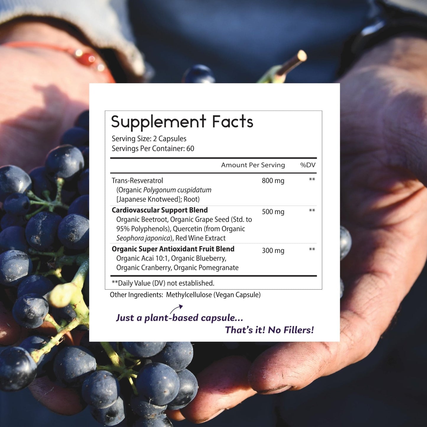 Thomas' all-natural Remedies Resveratrol 1600mg Organic Trans-Resveratrol Antioxidant Supplement with Organic Grape Seed Extract and Quercetin - Maple Wellness Supplements