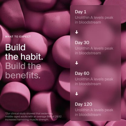 Timeline Mitopure Urolithin A Supplement Gummies - Clinically Proven Support for Healthy Aging Cellular Energy Muscle Strength and Longevity - Maple Wellness Supplements