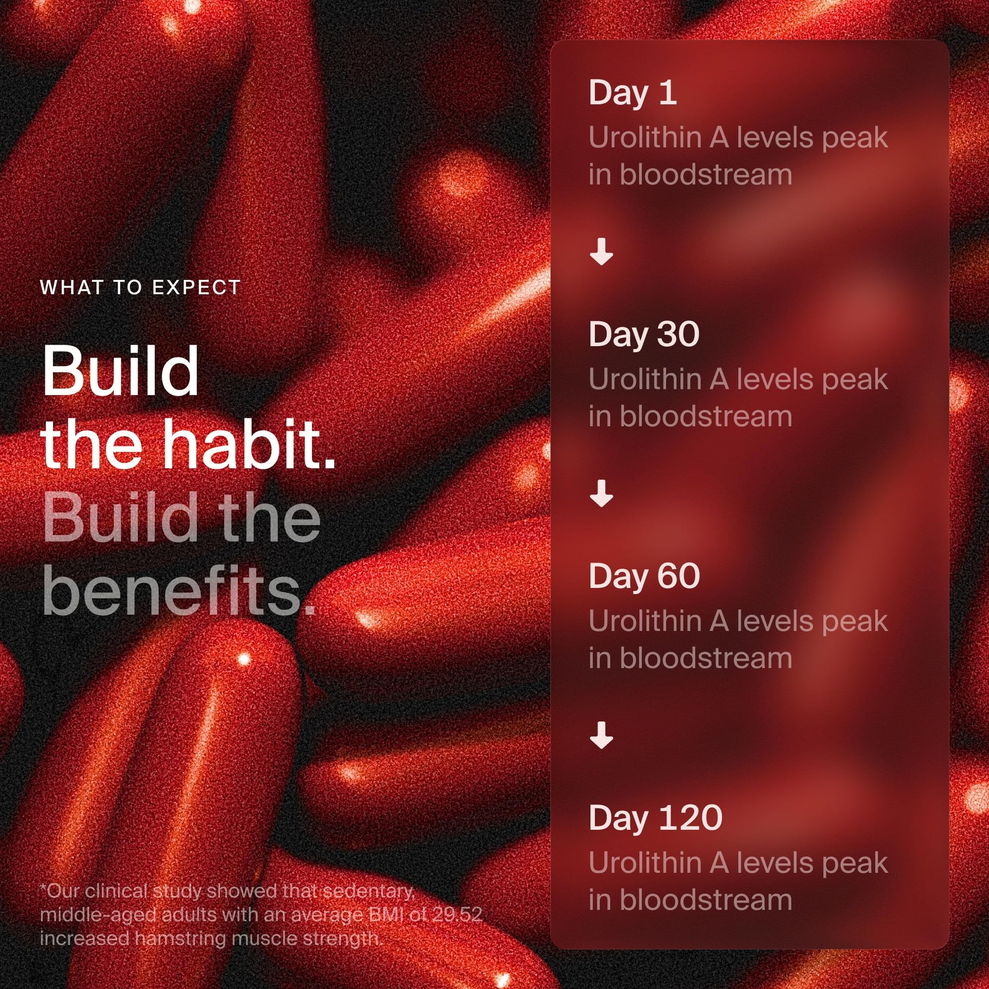 Timeline Mitopure Urolithin A Supplement Softgels - Clinically Proven Support for Healthy Aging and Cellular Renewal - Maple Wellness Supplements