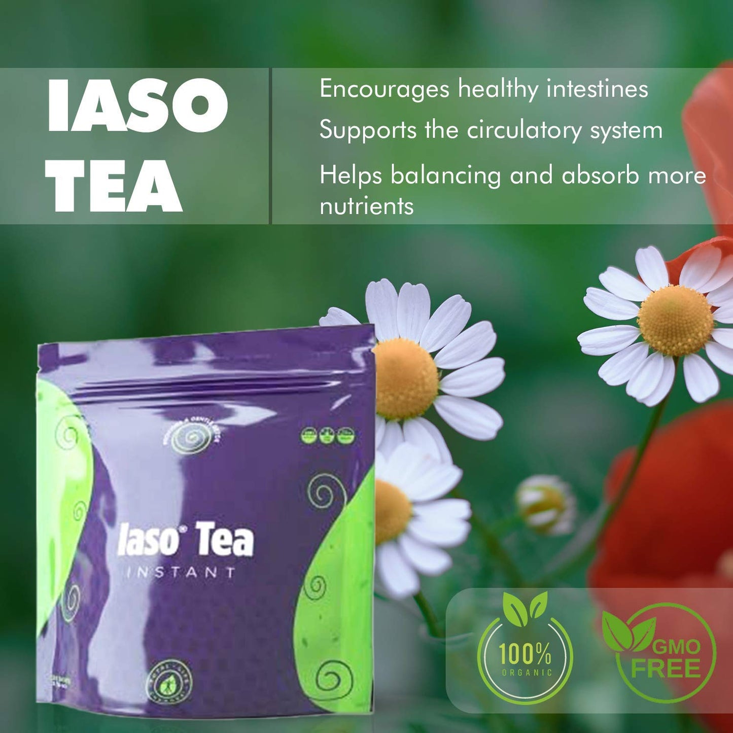 TLC Total Life Changes IASO Natural Detox Instant Herbal Tea - Expiration Date on the Top - Maple Wellness Supplements
